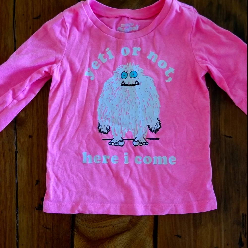Long sleeve Toddler shirt